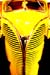 C. Yellow Car Grill